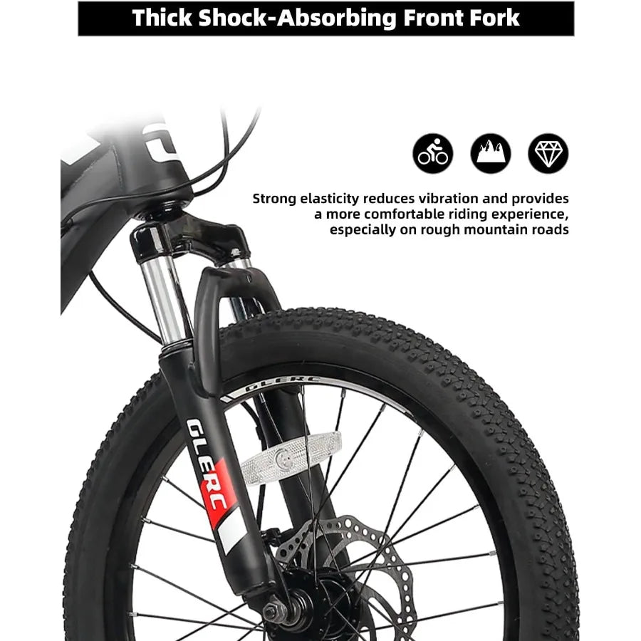 2024 24 Inch Bike for Boys and Girls