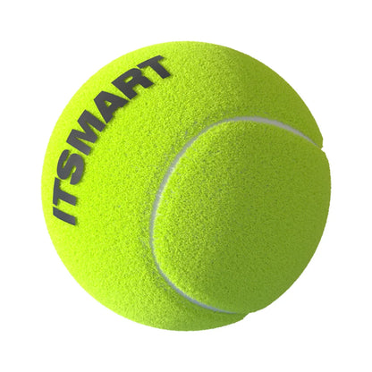 6/12 Pack Tennis Balls for Beginner High Elasticity